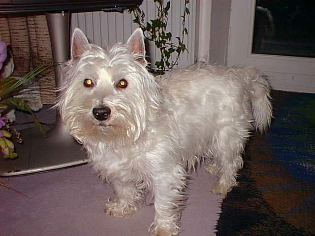 Hh? Was will er von mir?